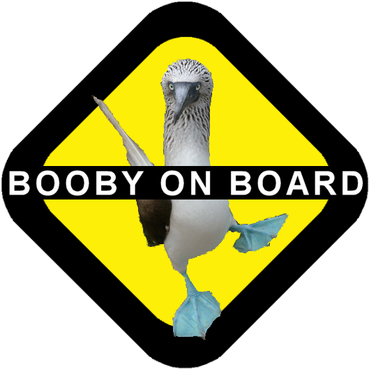 Booby on Board.