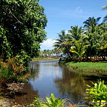 Thumbnail Photo for the Hakaui Gallery.