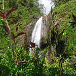 Thumbnail Photo for the Waterfall Gallery.